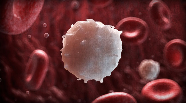 Survive Ebola: Become a "White Blood Cell" For Mankind
