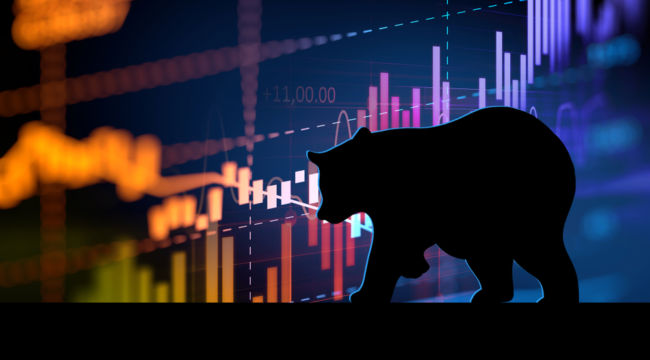 What Happened to the Bear Market