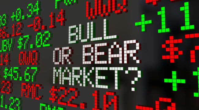 Bull Market -- or Bear Market Rally?