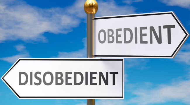 The Politics of Obedience