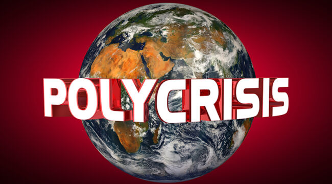 The Polycrisis