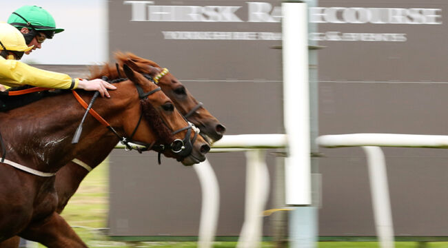 Election Headed for Photo Finish