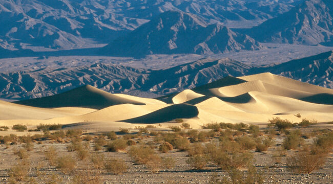 American Life: Less Ordinary