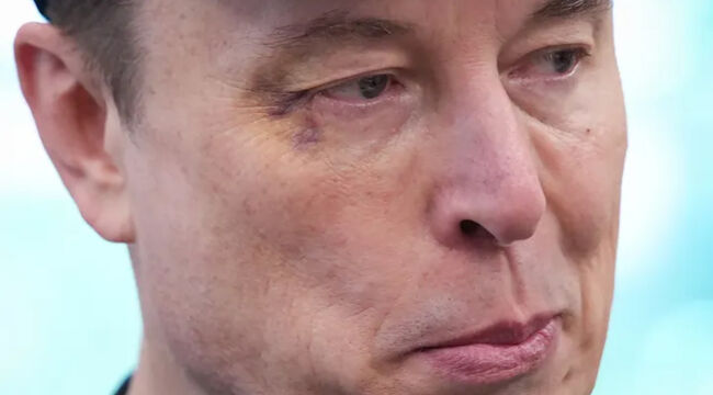 Elon’s Trial By Swamp