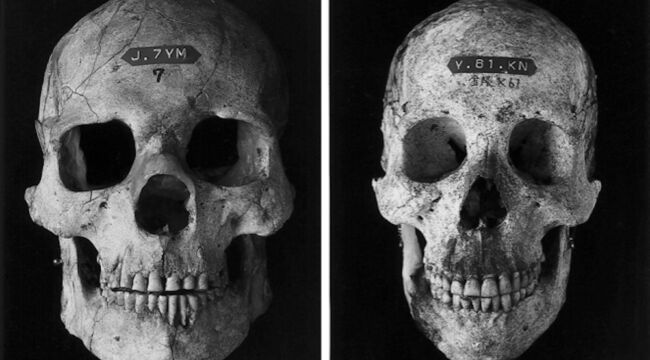 Building an Antifragile Portfolio